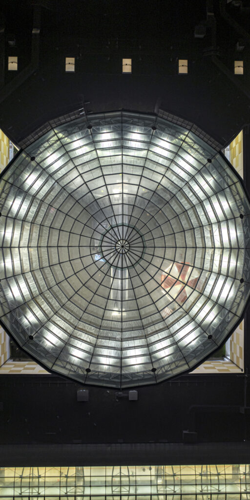 Il centro Centro Commerciale Puntadiferro Forl FC